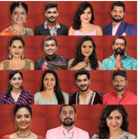 bigg boss 3 telugu vote