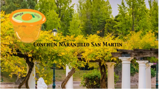 Conchun Naranjillo San Martín